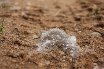 close up of ice on the ground
