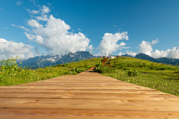 wooden boardwalk in the mountains leading to the observation deck hills. the path for the newlyweds