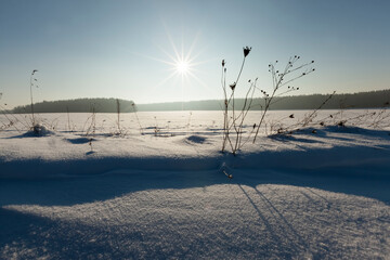 covered soil and grass with a thick layer of snow after a cyclone
