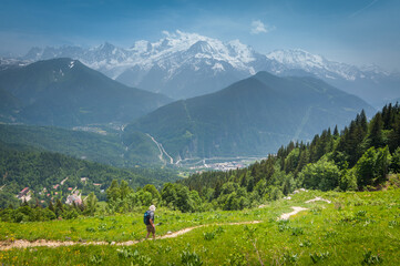 Chaîne du Mont Blanc vue depuis les Fiz - obrazy, fototapety, plakaty