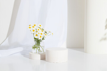 Empty cylindrical podium or plinth with chamomile flowers and seashell on a white background. Empty...