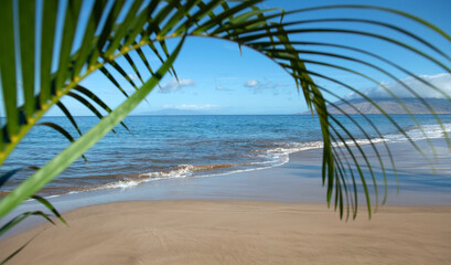 Idyllic scene beach in Thailand. Tropical blue sea and a sand beach background. Green leaves of palm tree.