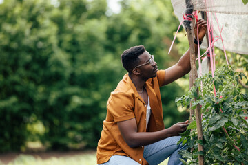 Adult man, adding new plants to his garden.