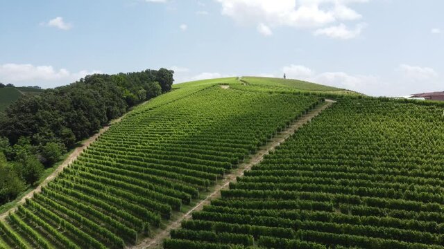 Langhe Hills with vineyards near Barolo - Piedmont Italy