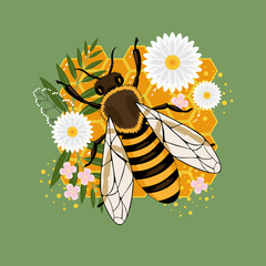 A bee sits on a honeycomb with flowers. Vector image on a green background.
