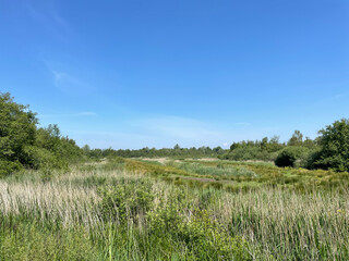 Fototapeta na wymiar Scenery at De Alde Feanen National Park