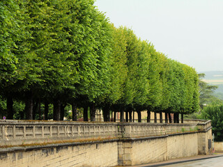 Fototapeta premium A beautiful city park with green trimmed trees in summer, in the medieval European city of Auxerre in France, in the urban heart.