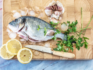 Fresh fish Dorado. Raw sea bream with parsley, onion, garlic and lemon slices covered with ice ready to cook on wooden board. Top view. Marble background.
