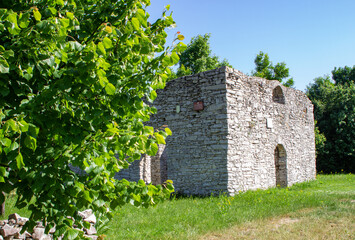 Ruiny kościoła św. Stanisława w Żarkach - obrazy, fototapety, plakaty