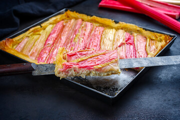 Traditional French rhubarb tarte with red wine plant in fresh cheese filling served as close-up in...