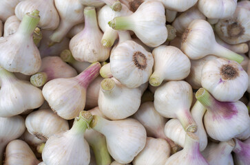 fresh aromatic juicy garlic background