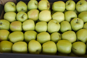 green apples in the market. background, food texture, new harvest.