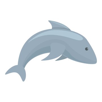Dolphin icon. Cartoon of Dolphin vector icon for web design isolated on white background