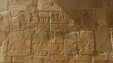 Fototapeta na wymiar Stone with hieroglyphs in Egypt
