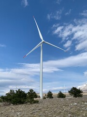 Windmills are the future of clean energy 
