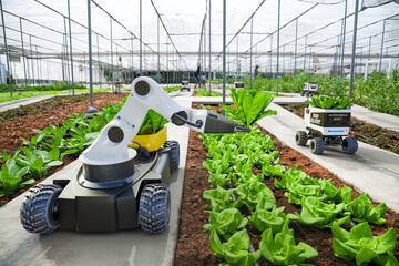 Agriculture robotic and autonomous car working in smart farm, Future 5G technology with smart agriculture farming concept - obrazy, fototapety, plakaty