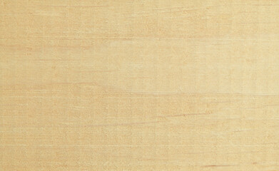 Fototapeta na wymiar Pine wood texture close up. 