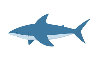 Shark. Dangerous great white shark isolated on white background. Vector cartoon illustration.