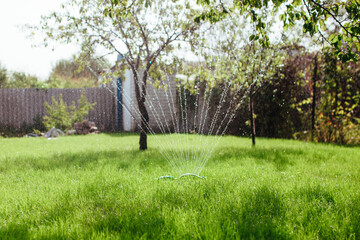 garden sprinkler irrigates the lawn, gardening and landscaping concept - obrazy, fototapety, plakaty