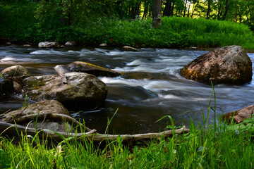 A fast forest river, hidden in green grass and in the shade of a forest, flows rapidly past the boulders on its rapids, only rare evening sunbeams fall on the surface of the river.