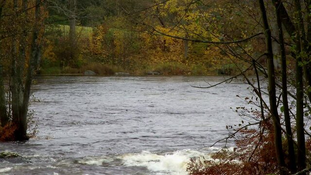 The samon fishing river Morrum at Karlshamn municipality in Blekinge county in Sweden during Autumn