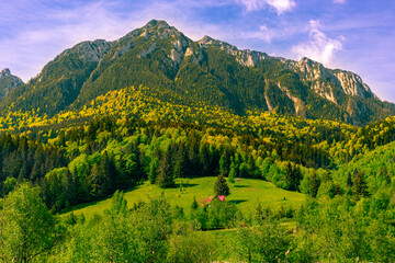 landscape in the mountains