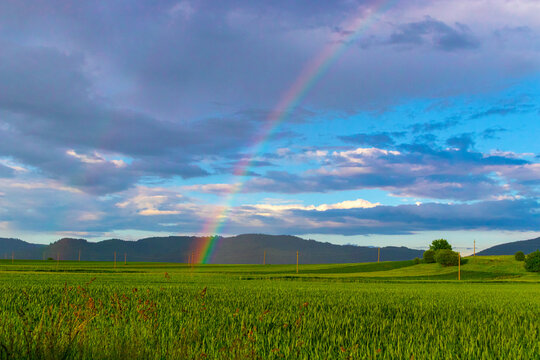Photography of rainbow over the field in the countryside after a heavy rain at sunset with heals in the background. Farmland in country side after rain
