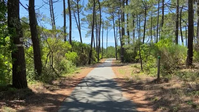 Piste cyclable dans une for&ecirc;t de pins au Cap Ferret, Gironde