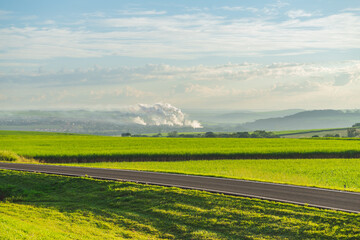 Fototapeta premium Paisagem de agricultura plantação de cana-de-açúcar em Uberlândia, MG, Brasil. Colheita no campo.. Indústria de Cana.
