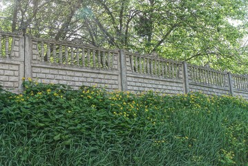a long concrete wall of a gray fence overgrown with green grass in the vegetation on the street