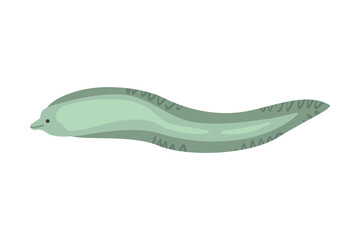 Eel Underwater Ocean Sea Creature Cartoon Vector Illustration