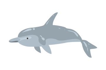 Dolphin Marine Underwater Fish Animal Cartoon Vector Illustration