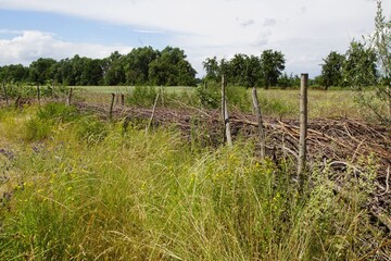 fence in field