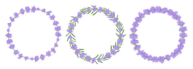 Frame lavender vector illustration. Postcard provence flowers