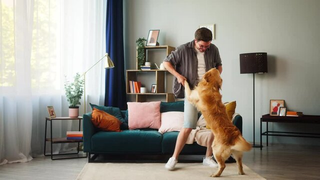 Young man in glasses dancing with dog in living-room and golden retriever standing on hind legs. Having fun together with lovely pet. Happy puppy wagging its tail, playing with owner at home. 