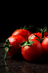 fresh tomatoes with wet and droplet on black stone table and black background