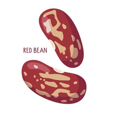 Red bean. Isolated on white kidney bean. Red brown seed. Organic, fresh cooking, healthy diet ingredient. For label template, farm market emblem, vegetarian and healthy life concept