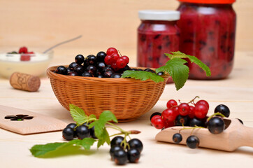 currants in a basket, berries scattered on the table and jars of jam