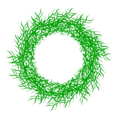 Hand drawn vector green floral rustic circle wreaths with plant leaves and branches on white background