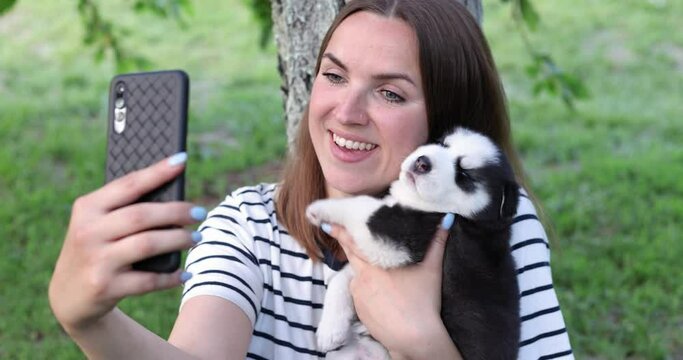 Young beautiful woman in a T-shirt and jeans with a husky puppy makes a photo or selfie, talks on the phone or shoots a video for social networks while sitting in a park near a tree