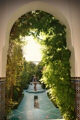 MOSQUEE DE PARIS