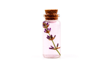 Glass bottle of Lavender essential oil with fresh lavender flowers on white background, aromatherapy spa massage concept. Lavender oil