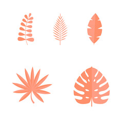 Set of Summer tropical leaves isolated on white background. Vector illustration
