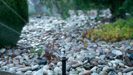 Garden watering. Sprinkler head spraying water. Irrigation. Selective focus.