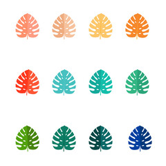 Fototapeta na wymiar Set of Summer tropical leaves isolated on white background. Vector illustration