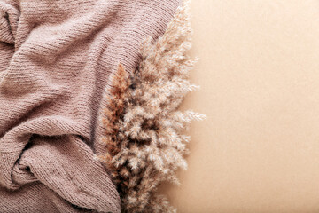 Reed pampas with beige warm knitted fabric on beige craft paper background. Beige frame background with copy space and flower of fluffy reed pampas.