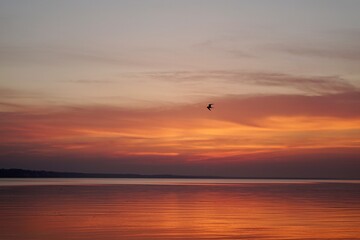 sunset on the beach. sunset on the sea. sunset over the sea. 