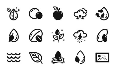 Vector set of Photo, Apple and Soy nut icons simple set. Peas, Dirty water and Snow weather icons. Plants watering, Peanut and Water splash signs. Waves, Leaf dew and Leaf. Vector