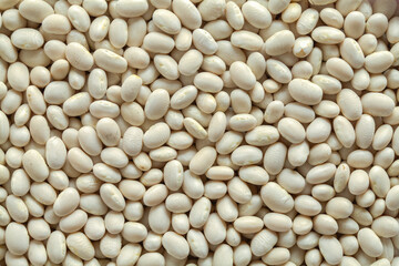 Navy Beans Background