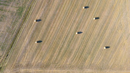 Ipsheim, Germany / Bavaria - August 18, 2020: Dried straw hay barrel rolls for animal feed lay in a freshly cut field with tractor tracks and textures. View from above. Background. © Thomas